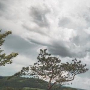 Meet your Posher, Boyce